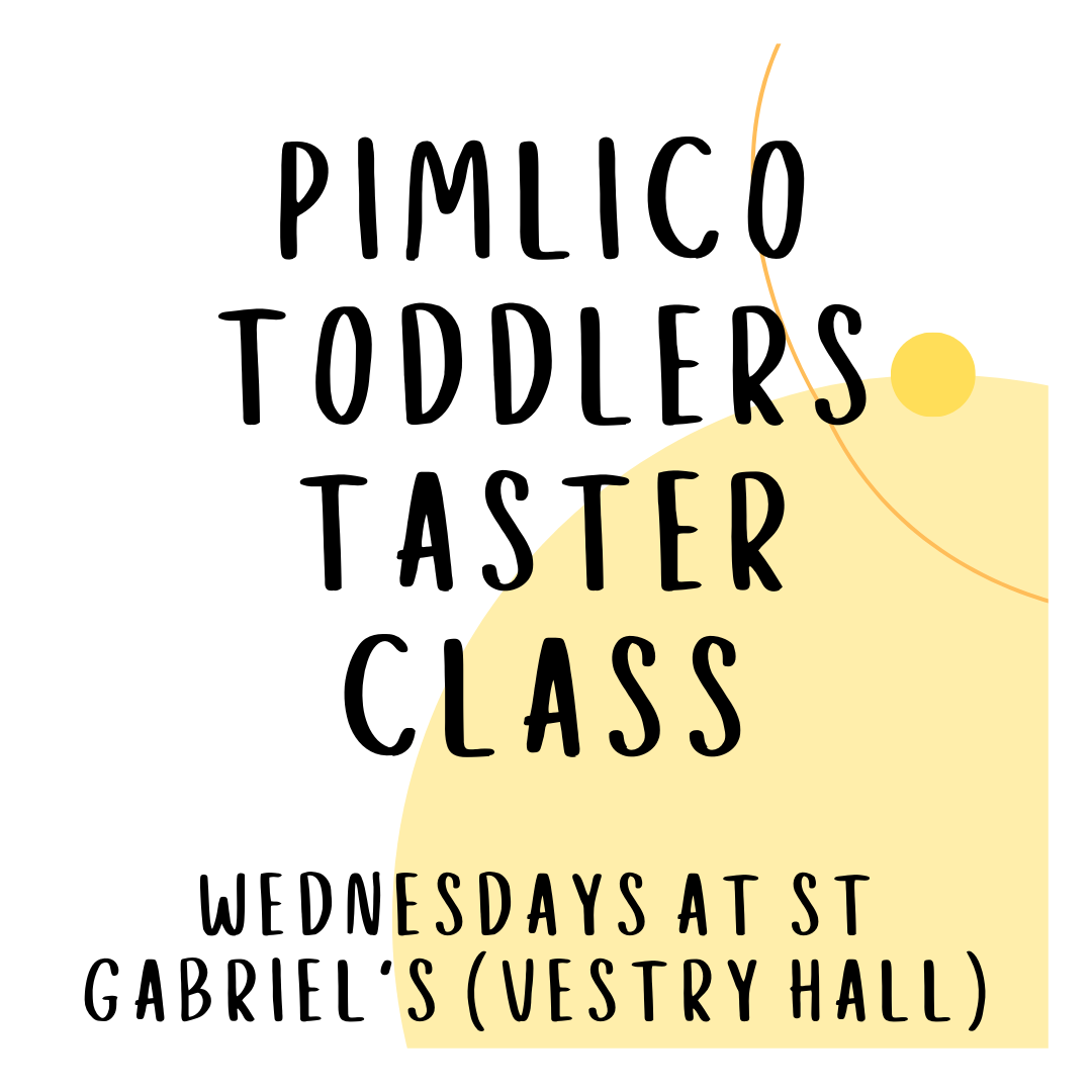 Pimlico Toddlers Taster Class at 9.30am